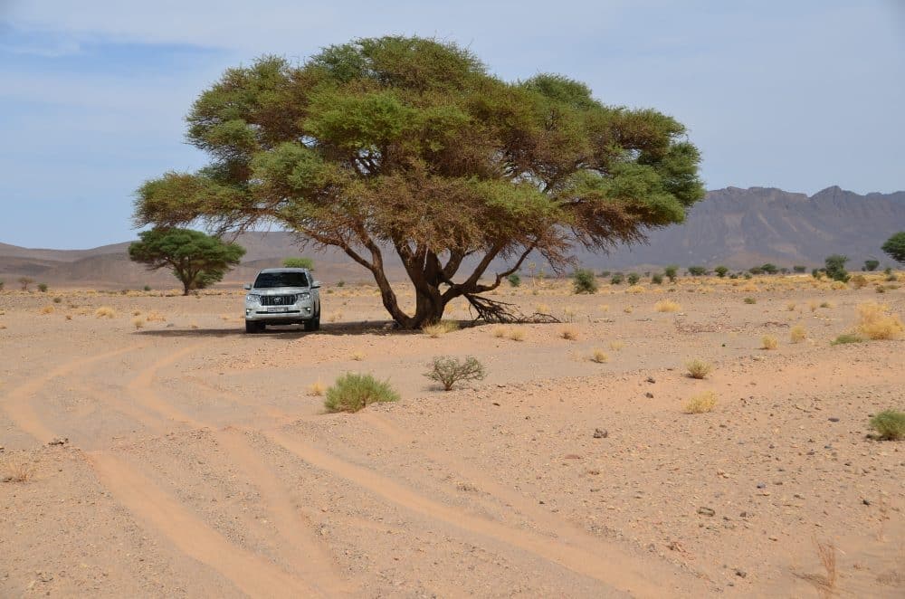 6 day desert adventure from Marrakech