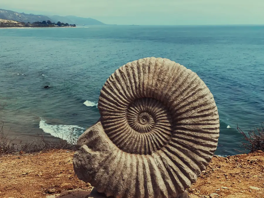 fossil tours in Morocco