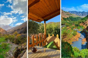 The Nature-First Remote Escape