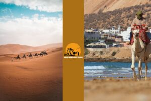 Are There Camels in Morocco