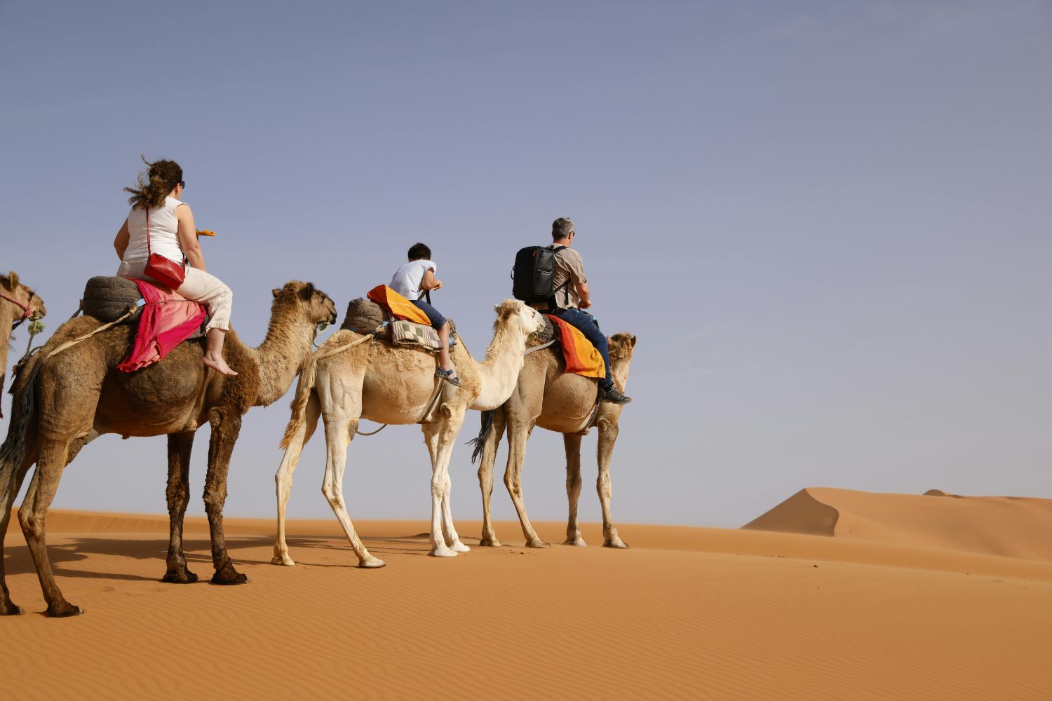 Camel Riding in Morocco
