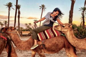 How to Ride a Camel in Morocco