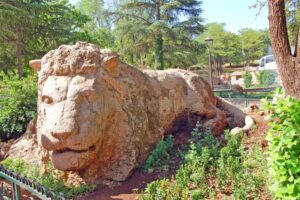 Lion of Ifrane
