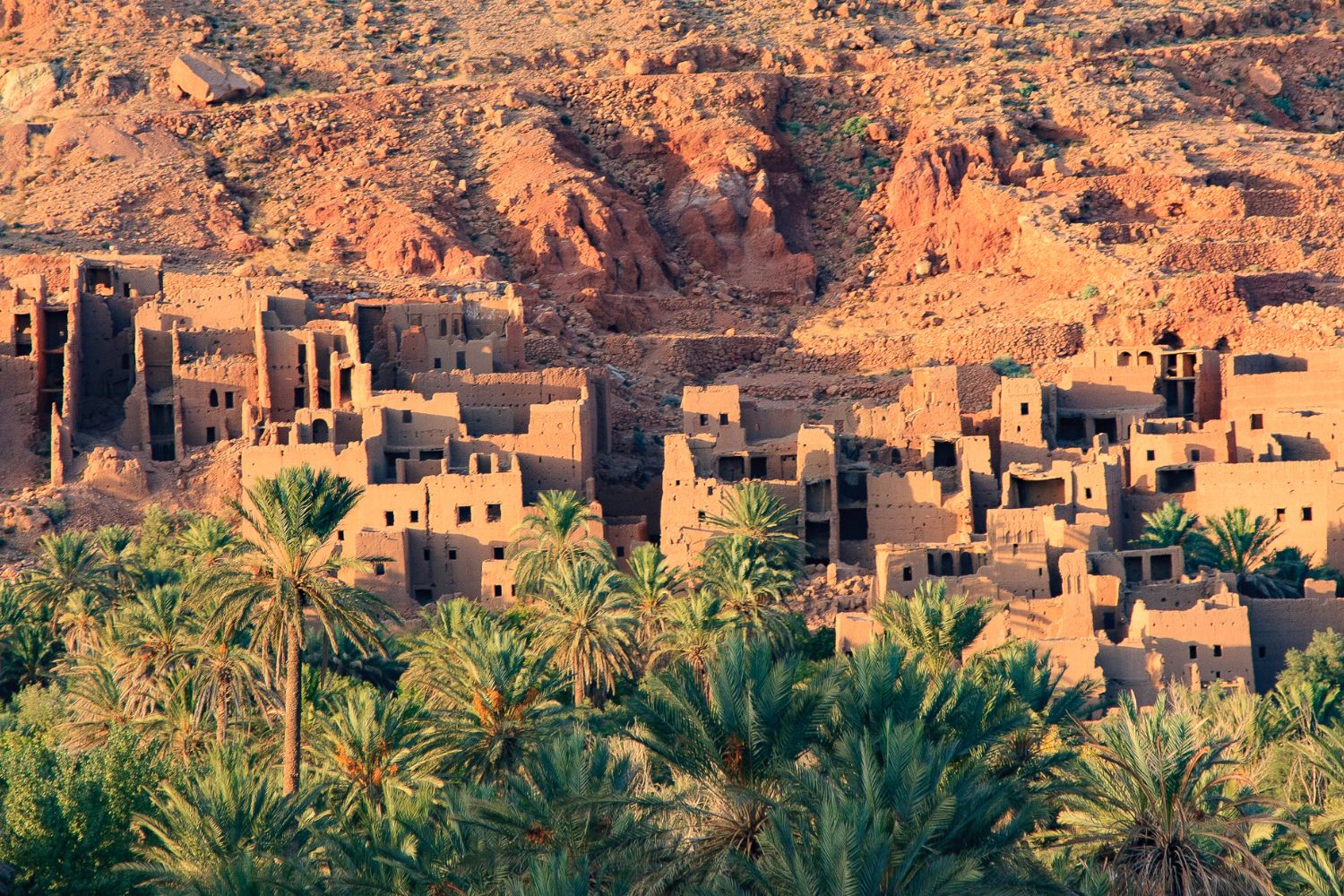 Valley of Roses in Morocco