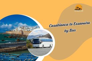 Casablanca to Essaouira by Bus