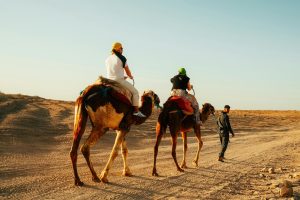 Tangier to Marrakech Drive