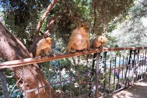 Where to Stay Near Ouzoud Falls