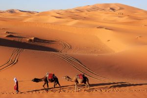facts about the Sahara Desert