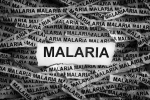 Morocco Malaria Risk