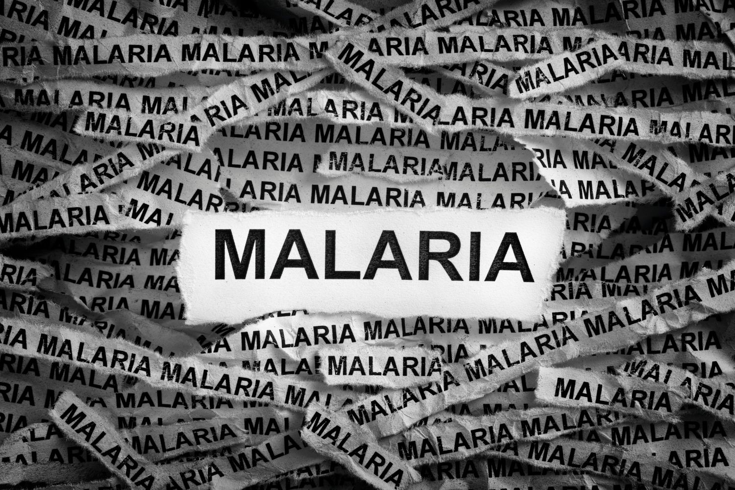 Morocco Malaria Risk