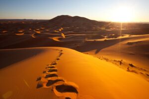 How to Book a Desert Tour in Morocco