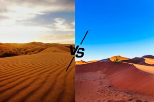 Merzouga vs MHamid