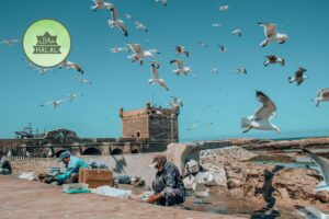 Morocco Halal Holidays