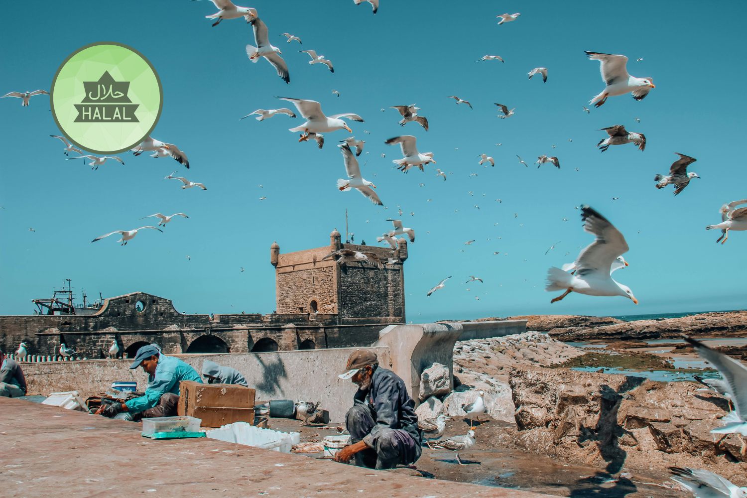 Morocco Halal Holidays